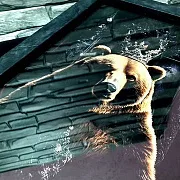Подарочные нарды под стеклом «Король тайги» — фотография 10